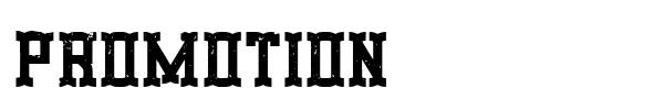 Promotion font preview